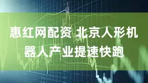 惠红网配资 北京人形机器人产业提速快跑